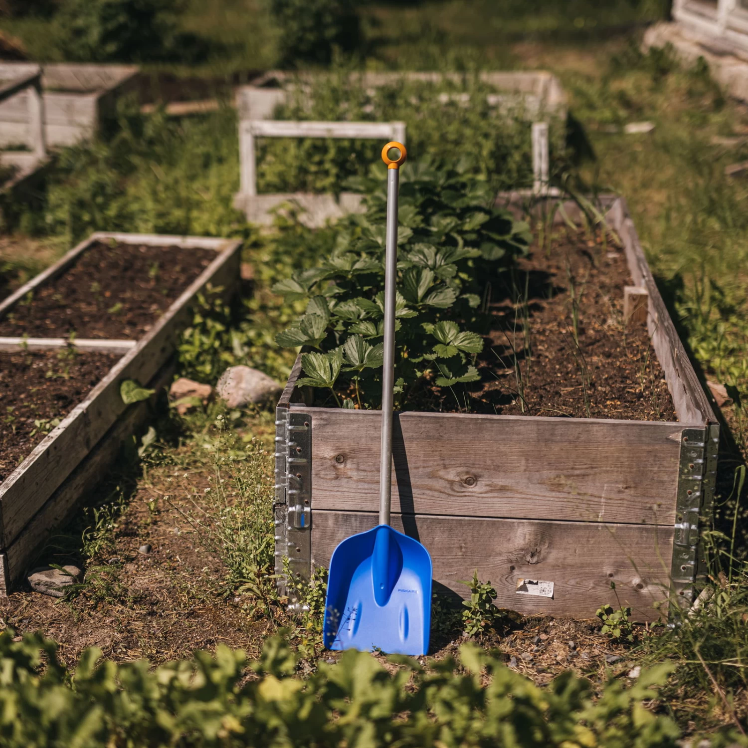 Schaufel 'MyFirst Fiskars', Blau/orange – Bild 3