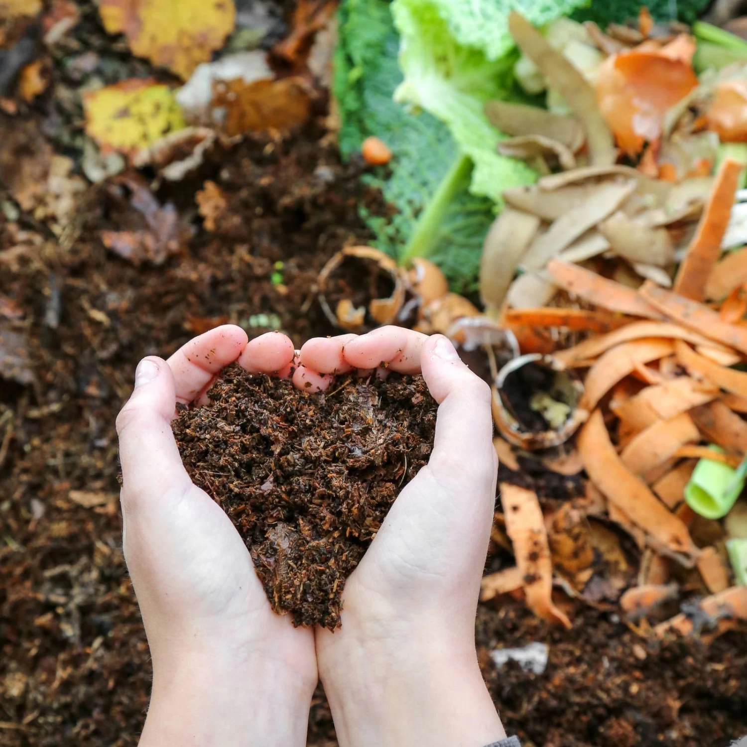 Thermokomposter DuoTherm 530 L – Bild 2