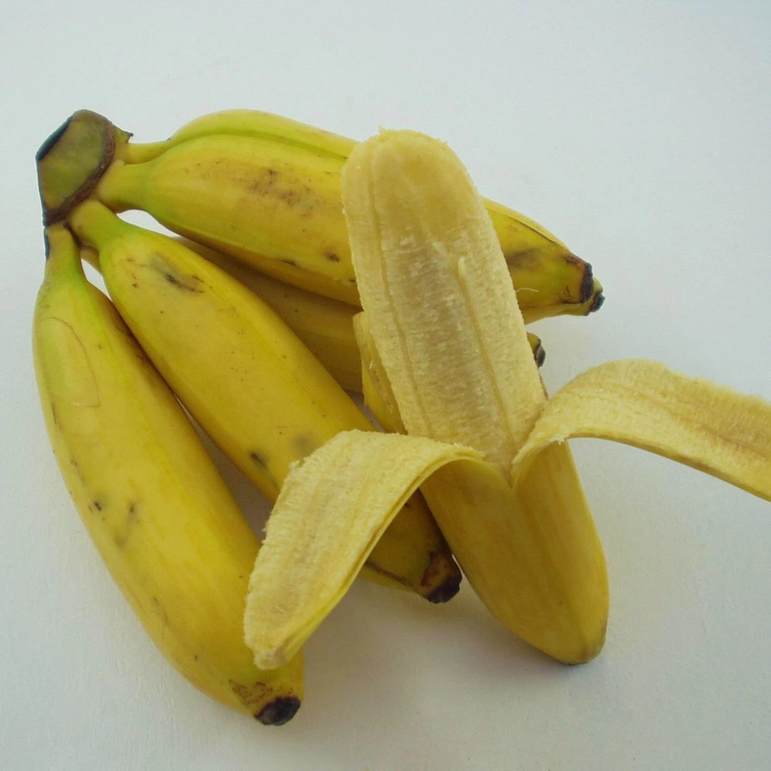 Bio Bananenpflanze, Topf-Ø 12 Cm, 2er-Set – Bild 4