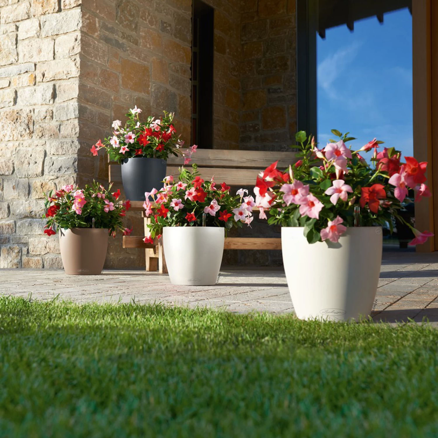 LECHUZA Pflanzgefäß 'Classico Color 70', Grau, Ø 70 X H 64,5 Cm – Bild 3