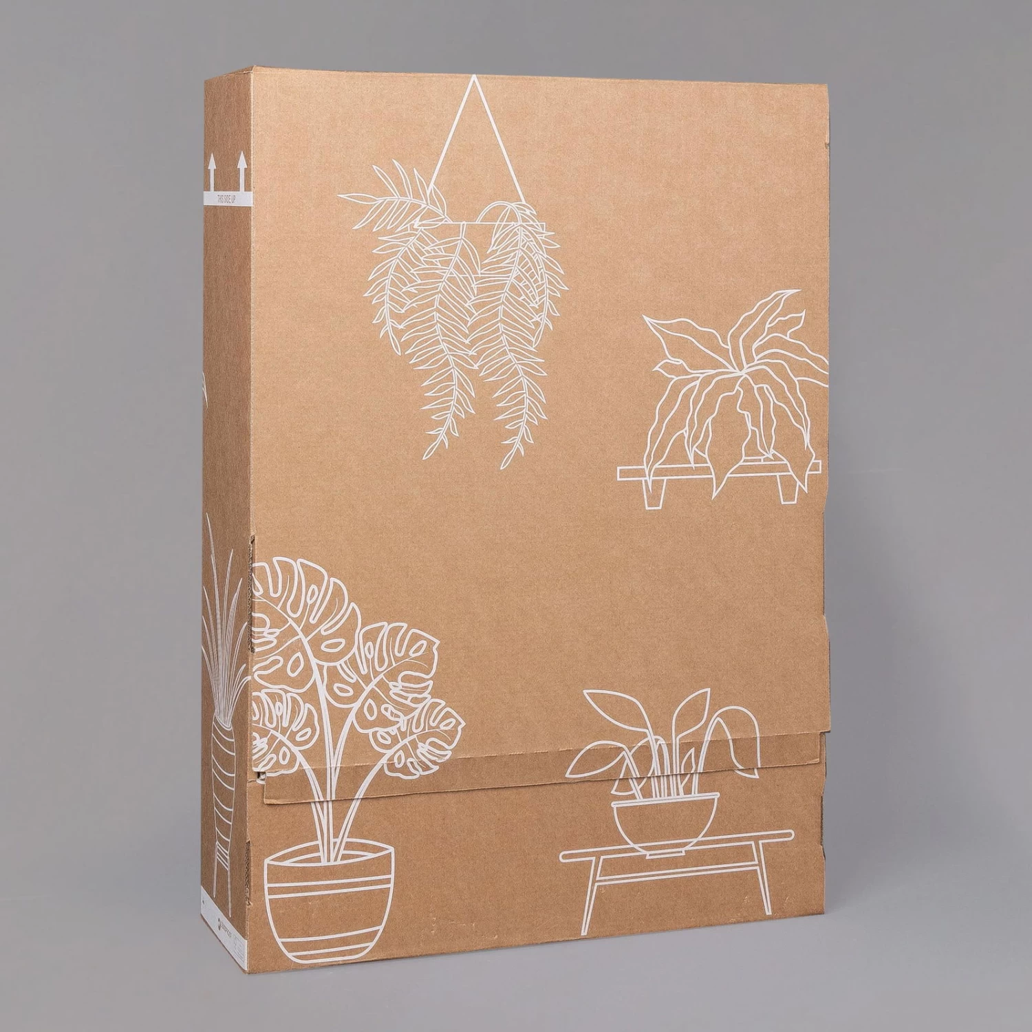 Efeutute 'Marble Queen' Inkl. Übertopf Vibes Blau, Topf-Ø 12 Cm, Höhe Ca. 15 Cm – Bild 7